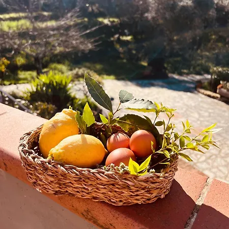 Cavana Legnaia Ferienhaus Trebiano