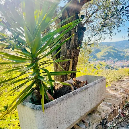 Cavana Legnaia Ferienhaus Trebiano