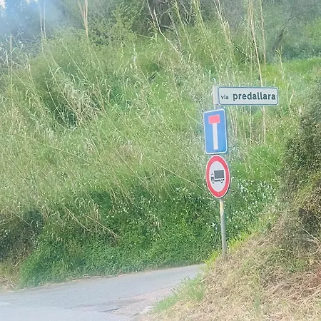 Cavana Legnaia Trebiano