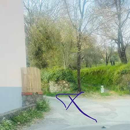 Cavana Legnaia * Trebiano